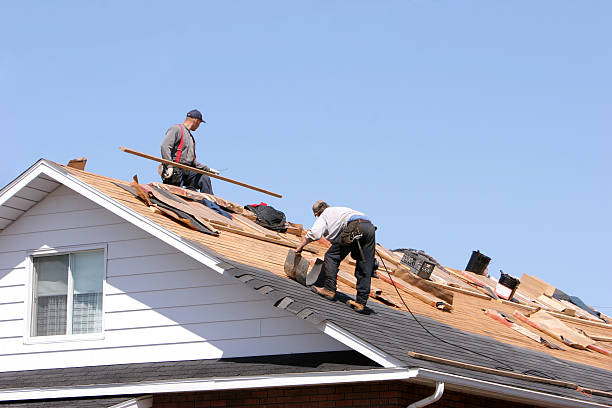 Best Roof Restoration  in Proctor, VT