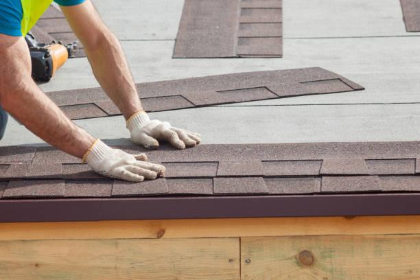 Best Metal Roofing Installation  in Proctor, VT